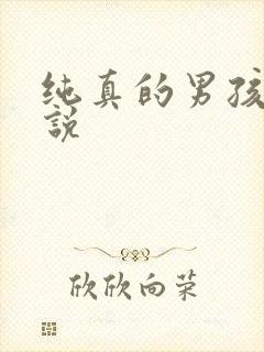 纯真的男孩子小说