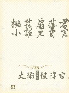 桃花扇落君不还小说免费完整版封面