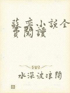 苏奕小说全文免费阅读