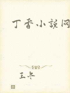 丁香小说网