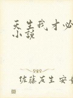 天生我才必有用小说封面