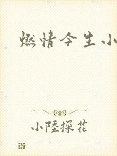 燃情今生小说封面