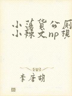 小荡货公厕h文小辣文np视频封面