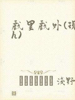 戏里戏外(现场h)封面