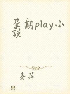 孕期play小说