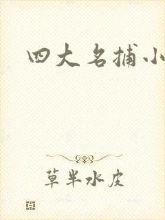 四大名捕小说