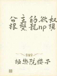 公主的欲奴h四根双龙np视频