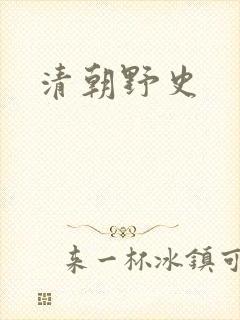清朝野史