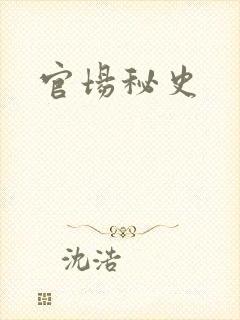 官场秘史