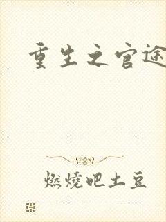 重生之官途辉煌封面