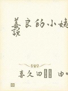 善良的小姨子小说