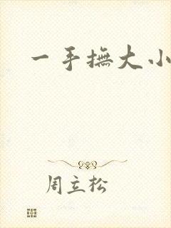 一手抚大小说