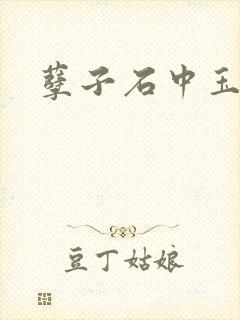 孽子石中玉