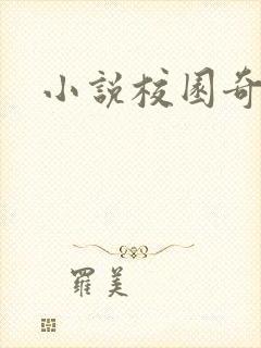 小说校园奇侠封面