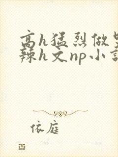 高h猛烈做哭高辣h文np小说封面