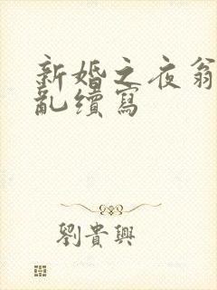 新婚之夜翁莹情乱续写封面