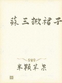 苏三掀裙子封面