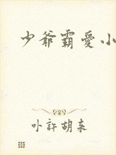 少爷霸爱小丫头