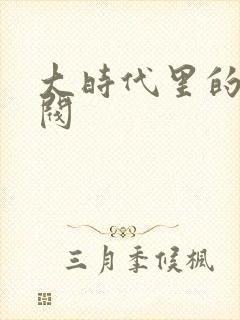 大时代里的小军阀