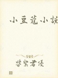 小豆蔻小说