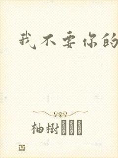 我不要你的承诺