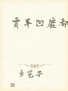 贾平凹废都封面