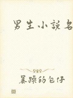 男生小说名字封面