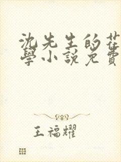 沈先生的花式教学小说免费