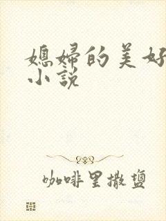 媳妇的美好时代小说