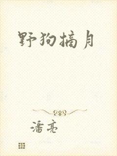 野狗摘月