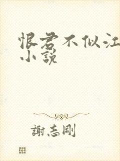 恨君不似江楼月小说