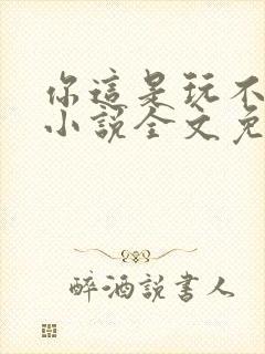 你这是玩不起呀小说全文免费阅读封面