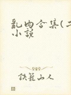 乱肉合集(二)小说