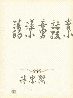 荡漾童话卖火柴的小男孩小说封面