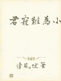 君宠难为小说封面