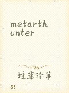 metarthunter封面