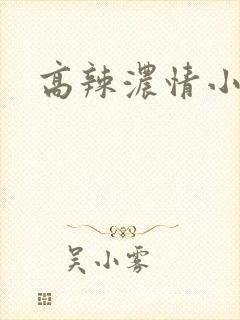 高辣浓情小说