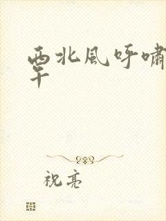 西北风呼啸的中午