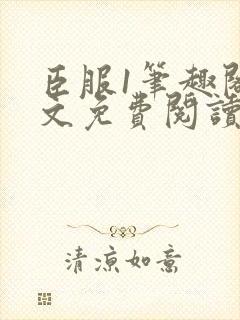 臣服1笔趣阁全文免费阅读无弹窗封面