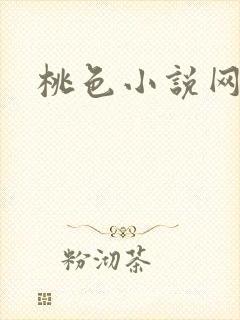桃色小说网封面