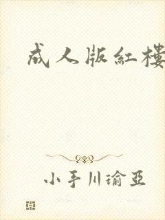 成人版红楼梦封面