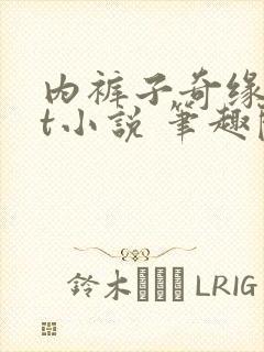 内裤子奇缘txt小说 笔趣阁