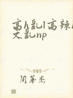 高h乱l高辣h文乱np