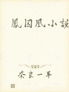 凤囚凰小说