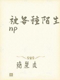 被各种陌生人 np