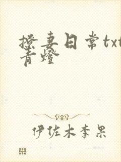 撩妻日常txt青灯封面