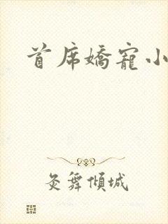 首席娇宠小情人