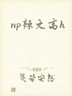 np辣文高h