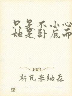 只是不小心发现她是卧底而已封面