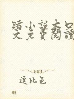 赌小说木口银全文免费阅读笔趣阁